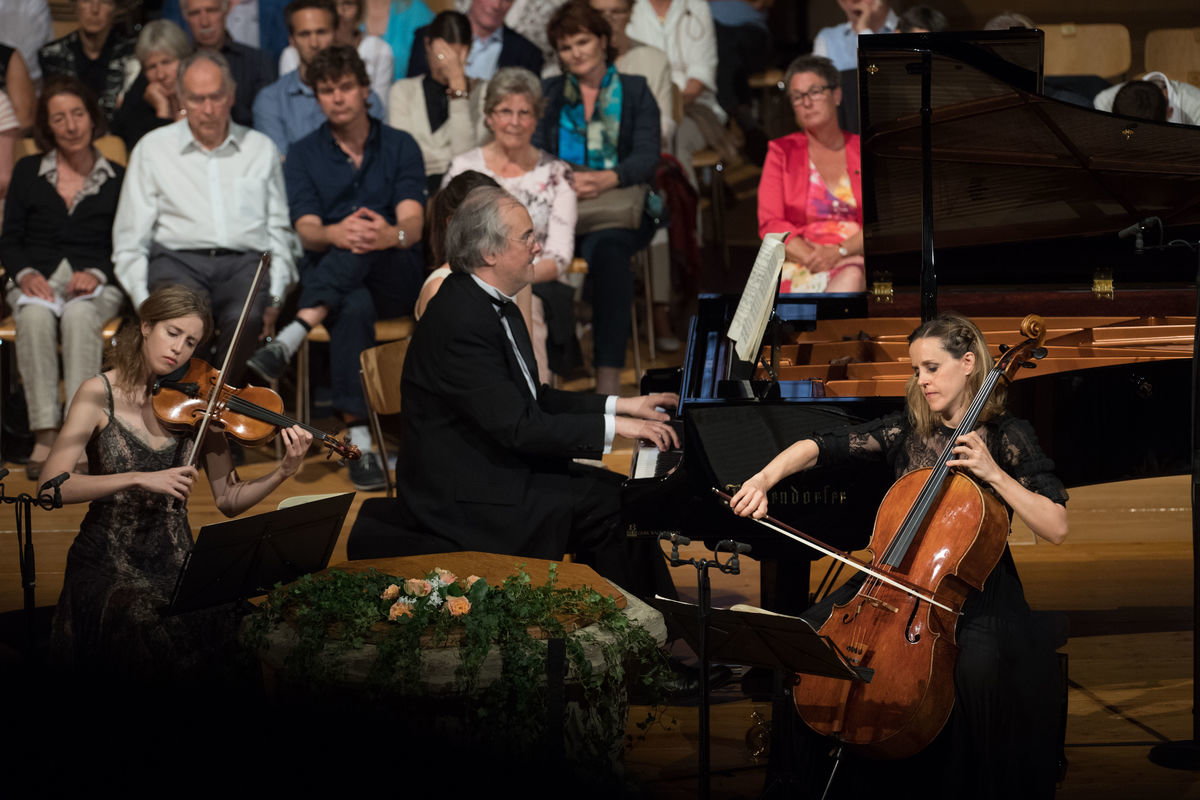 rfx_2207.jpg rfx_2207.jpg