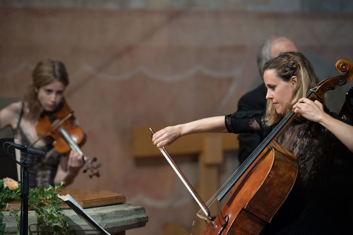 rfx_2107.jpg rfx_2107.jpg