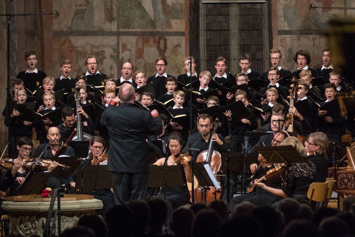 rfx_1850.jpg rfx_1850.jpg